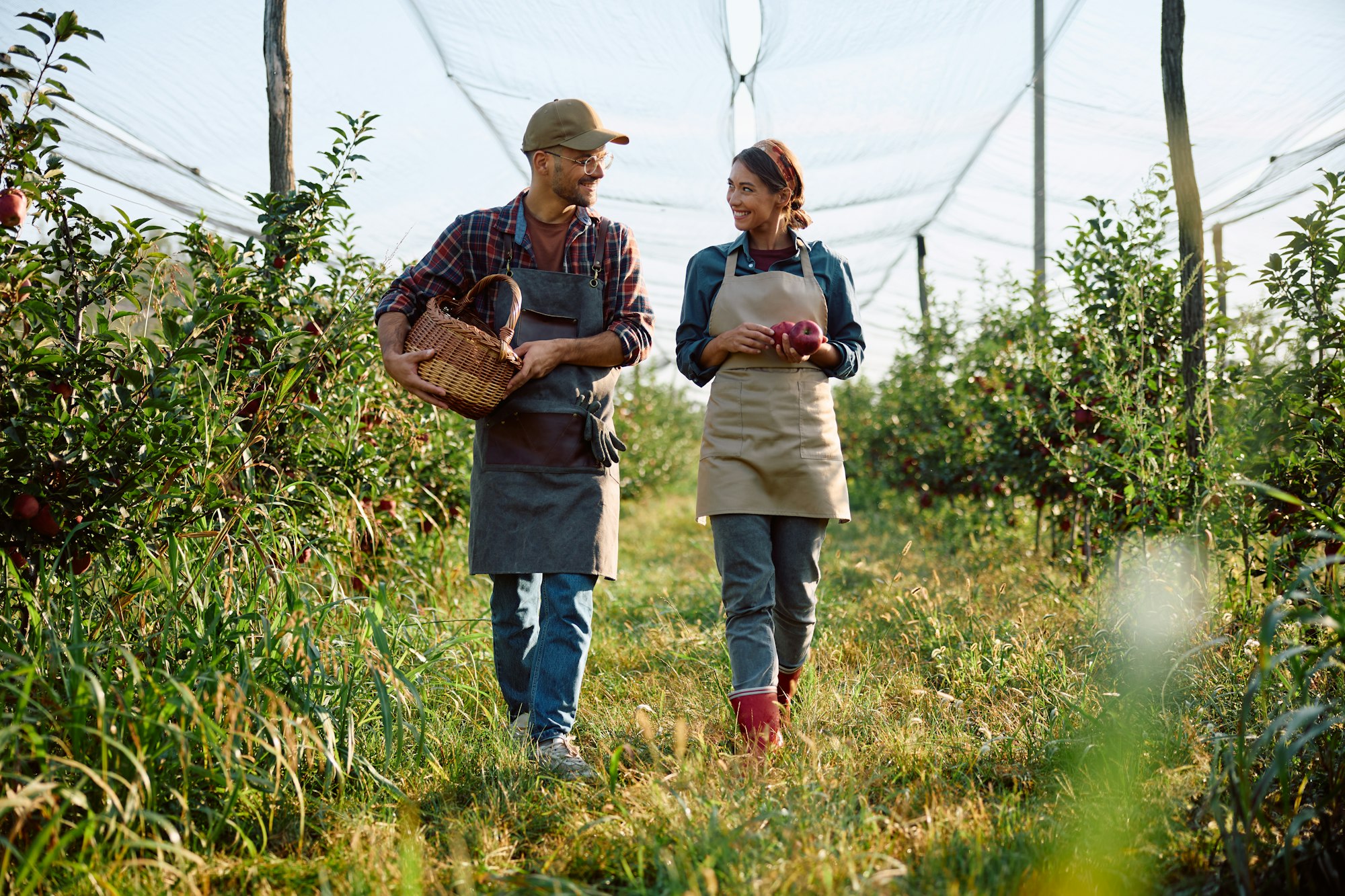 Happy couple of workers talking while walking through the orchard.